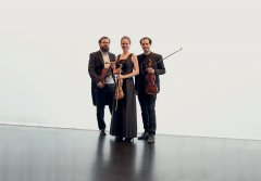 Image Concertinos Image Concertinos
